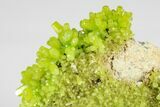 2.65" Apple-Green Pyromorphite Crystal Cluster - China - #179824-1